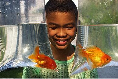 《逆转裁判123HD》6月9日从移动端下架 新移植版代替上架