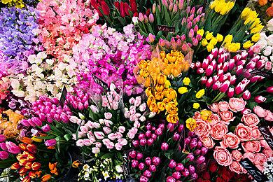 “东京电玩展2022”SEGA＆ATLUS专题网站现已上线！SEGA＆ATLUS出展信息公开！